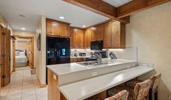 610 S West End St D105, Aspen, CO 81611