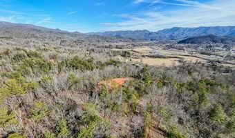 430 Live Oak Ter, Andrews, NC 28901