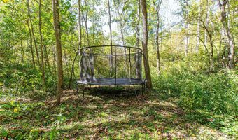 10 Dodd Rd, Barnardsville, NC 28709