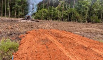 715 Old Pinola Braxton Rd, Braxton, MS 39044