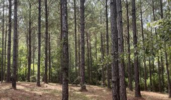 259 Forest Lake Rd, Beaumont, MS 39423
