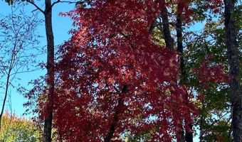 24 Cahill Dr Lot 24, Andrews, NC 28901