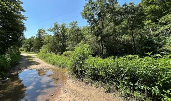 18781 Private Drive 1145, Ava, MO 65608