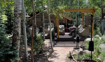 124 Ski Rd, Allenspark, CO 80510