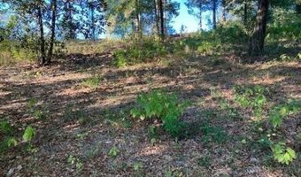 Sunshine Rd lot 1, Andalusia, AL 36421