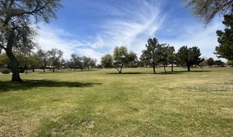 1171 W GOLDFINCH Way, Chandler, AZ 85286