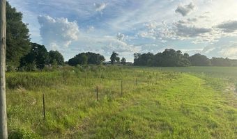 0 Spring Crk, Bainbridge, GA 39817