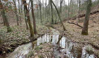 34655 Co Rd 49, Beaverton, AL 35544