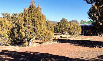 1 N 8167, Concho, AZ 85924