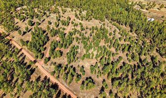 N2147, Alpine, AZ 85920