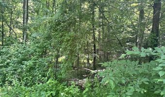 Mountain Road lot Map 25 Block A Lot 2.43 Lot Size 2.11, Chesterfield, NH 03466