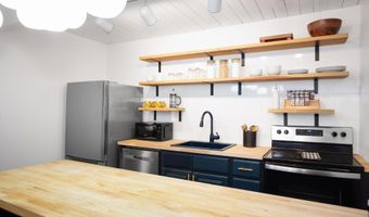 901 E Hyman Ave 4, Aspen, CO 81611