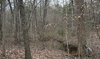 Hwy 9, Blue Springs, MS 38828
