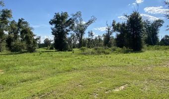 7960 NW County Road 274, Altha, FL 32421