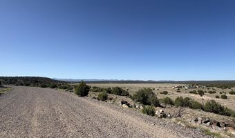 Lot 49 Windsor valley Ranch Drive, Concho, AZ 85924