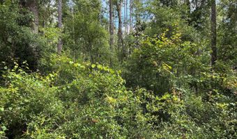 LOT66 PEACOCK HIDEAWAY, Live Oak, FL 32060