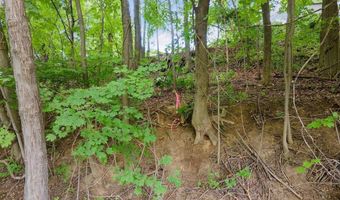 53 Cottage Ave, Albany, NY 12203