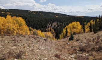 0 Snow Cap Peaks Rd, Alma, CO 80402