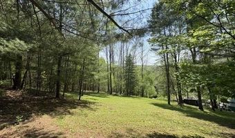 Gold Coast Road, Bridgewater, VT 05034