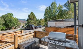 55 Bear Trl, Aspen, CO 81611