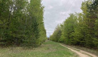 9718 NE FOREST LANE Dr, Alden, MI 49612