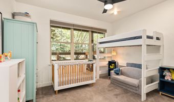 545 EVANS Ct, Basalt, CO 81621