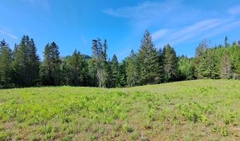 Nka Otter Lane, Bonners Ferry, ID 83805