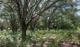 3109 US Hwy 129, Bell, FL 32619