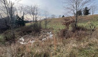 1383 HogBack Rd, Albany, KY 42602