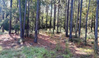 0 State Highway 225, Bay Minette, AL 36507