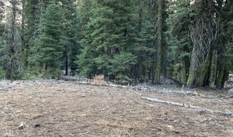 0 Bridle Rd, Alturas, CA 96101