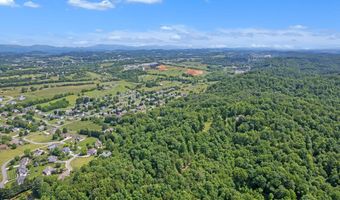 18549 Landridge Way, Abingdon, VA 24211