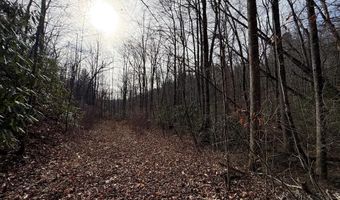 135 49ac Webb Creek Rd, Andrews, NC 28901