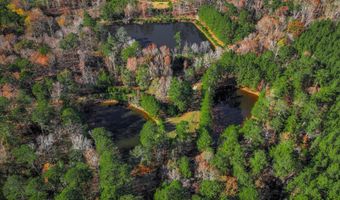 7501 Rainey Morris Rd, Appling, GA 30802