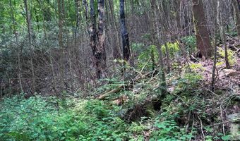 88 Acres Bolden Br, Andrews, NC 28901
