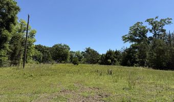 county road 222, Abbeville, AL 36310