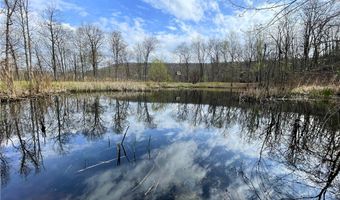 320 Acres CR 921, Alpena, AR 72611