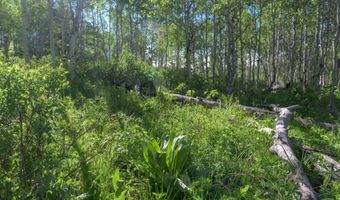 CARROLL Lane, Daniel, WY 83115