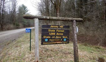 County Route 16, Angelica, NY 14709