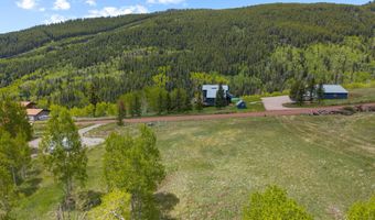 1239 Mclaughlin Ln, Basalt, CO 81621
