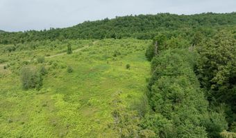 Birch Tree Lane lot 2, Cambridge, VT 05464
