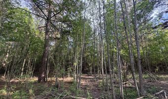 1311 A N Jackson St, Brookhaven, MS 39601