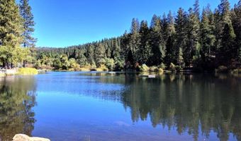 1964 Belmont Way, Arnold, CA 95223