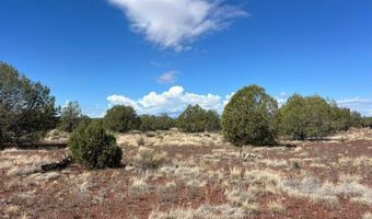 211 Ricochet Way, Ash Fork, AZ 86320