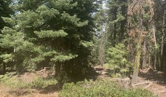 Fargo Rd, Alturas, CA 96101