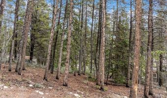 158 N ASPEN St, Alma, CO 80420