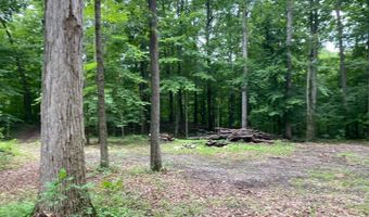 14900 Woodbridge Rd, Camden, MI 49232