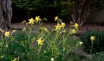 927 CAMINO VISTA RIO, Bernalillo, NM 87004