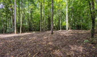 2 9 AC Chestnut Flats Rd, Andrews, NC 28901