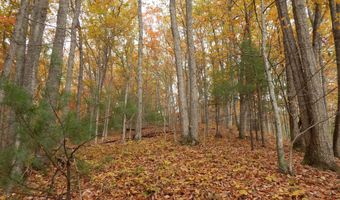 Spoon Gap Rd, Abingdon, VA 24211